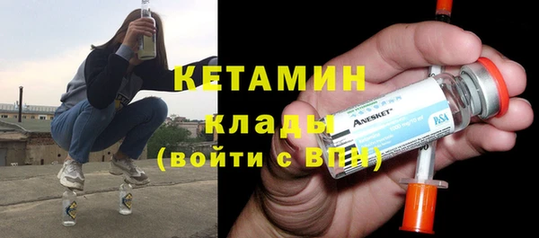 прущие грибы Новозыбков