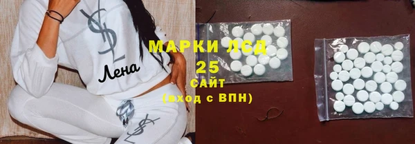 прущие грибы Новозыбков