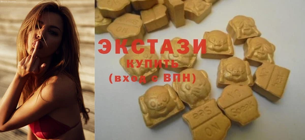 прущие грибы Новозыбков