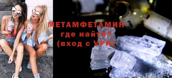 прущие грибы Новозыбков
