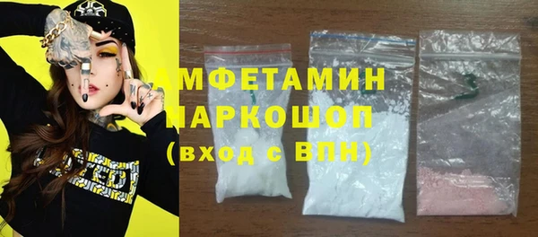 прущие грибы Новозыбков