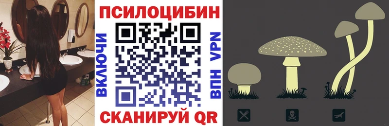 где найти наркотики  Корсаков  Галлюциногенные грибы Cubensis 