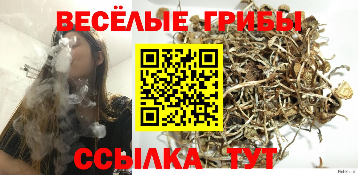 Галлюциногенные грибы ЛСД Корсаков
