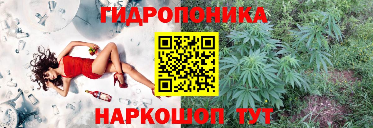 Каннабис Корсаков