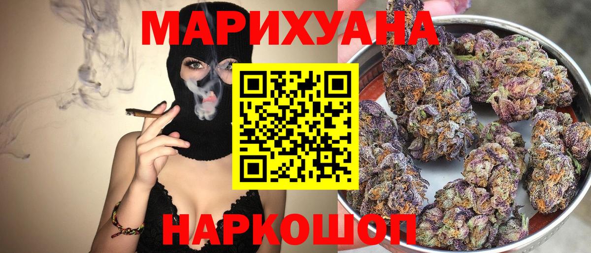 Каннабис планчик Корсаков